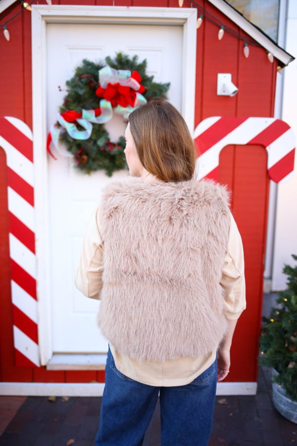 Tan Faux Fur Sleeveless Vest | Boutique Elise | Alice - Image 2